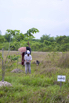 Sustainability_2026_00288.jpg