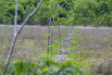 Sustainability_2026_00309.jpg