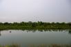 Sustainability_2026_00365.jpg
