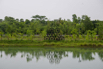 Sustainability_2026_00366.jpg