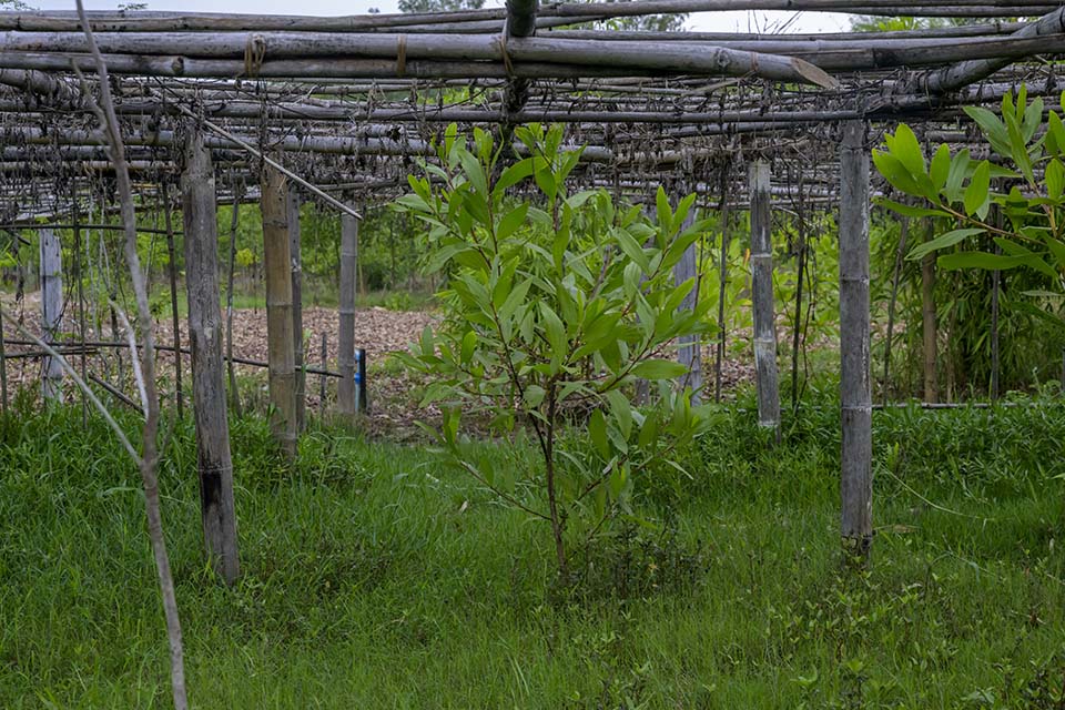 Sustainability_2026_00368.jpg
