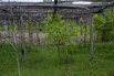 Sustainability_2026_00368.jpg