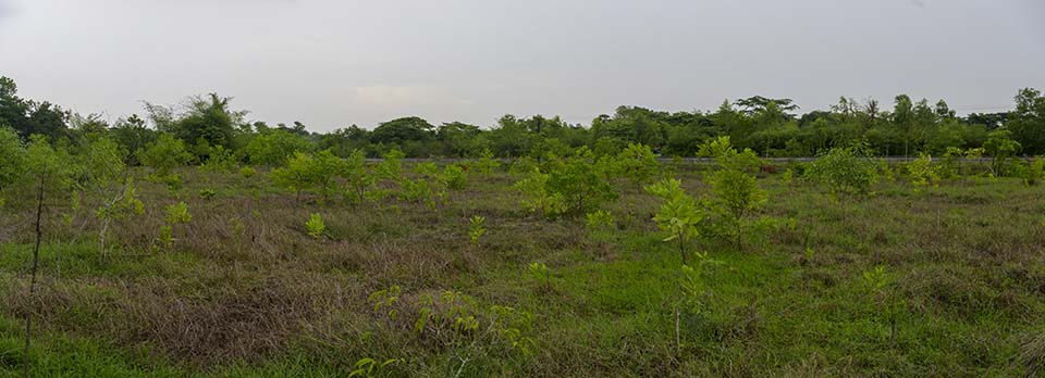 Sustainability_2026_00369-70.jpg