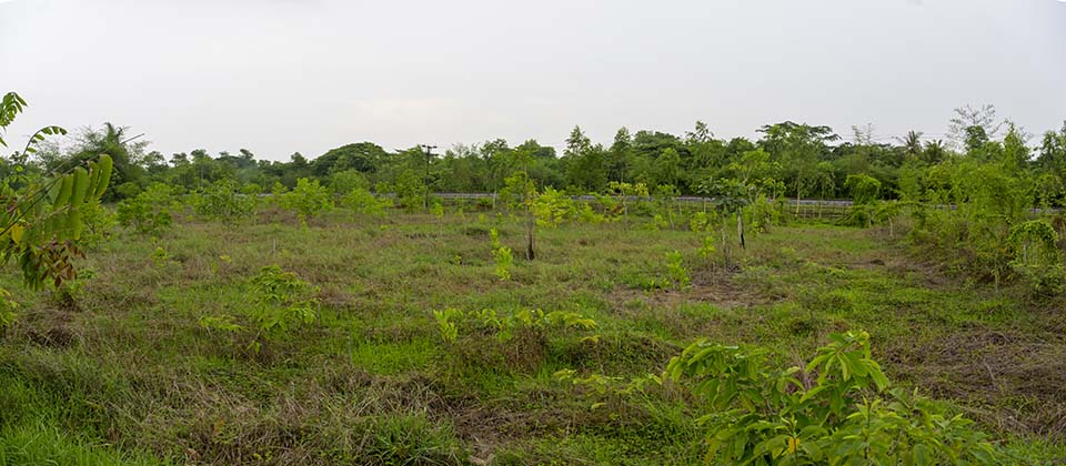 Sustainability_2026_00371-2.jpg