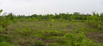 Sustainability_2026_00371-2.jpg