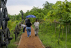 Sustainability_2026_00373.jpg