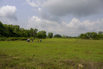 Sustainability_2026_00003.jpg