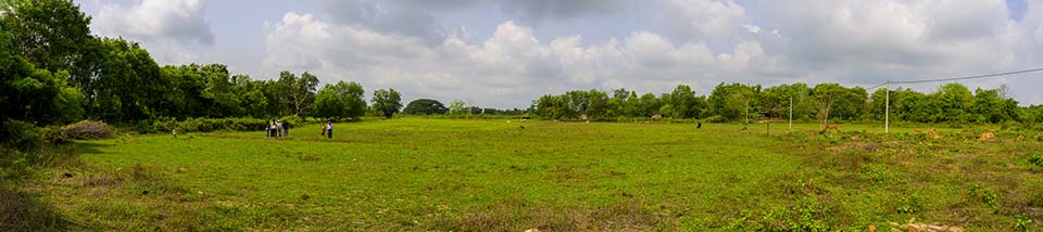 Sustainability_2026_00004-11.jpg