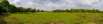 Sustainability_2026_00004-11.jpg