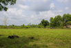Sustainability_2026_00053.jpg