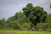 Sustainability_2026_00054.jpg