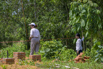 Sustainability_2026_00093.jpg
