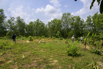 Sustainability_2026_00098.jpg