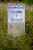Sustainability_2026_00147.jpg