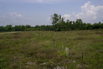 Sustainability_2026_00150.jpg