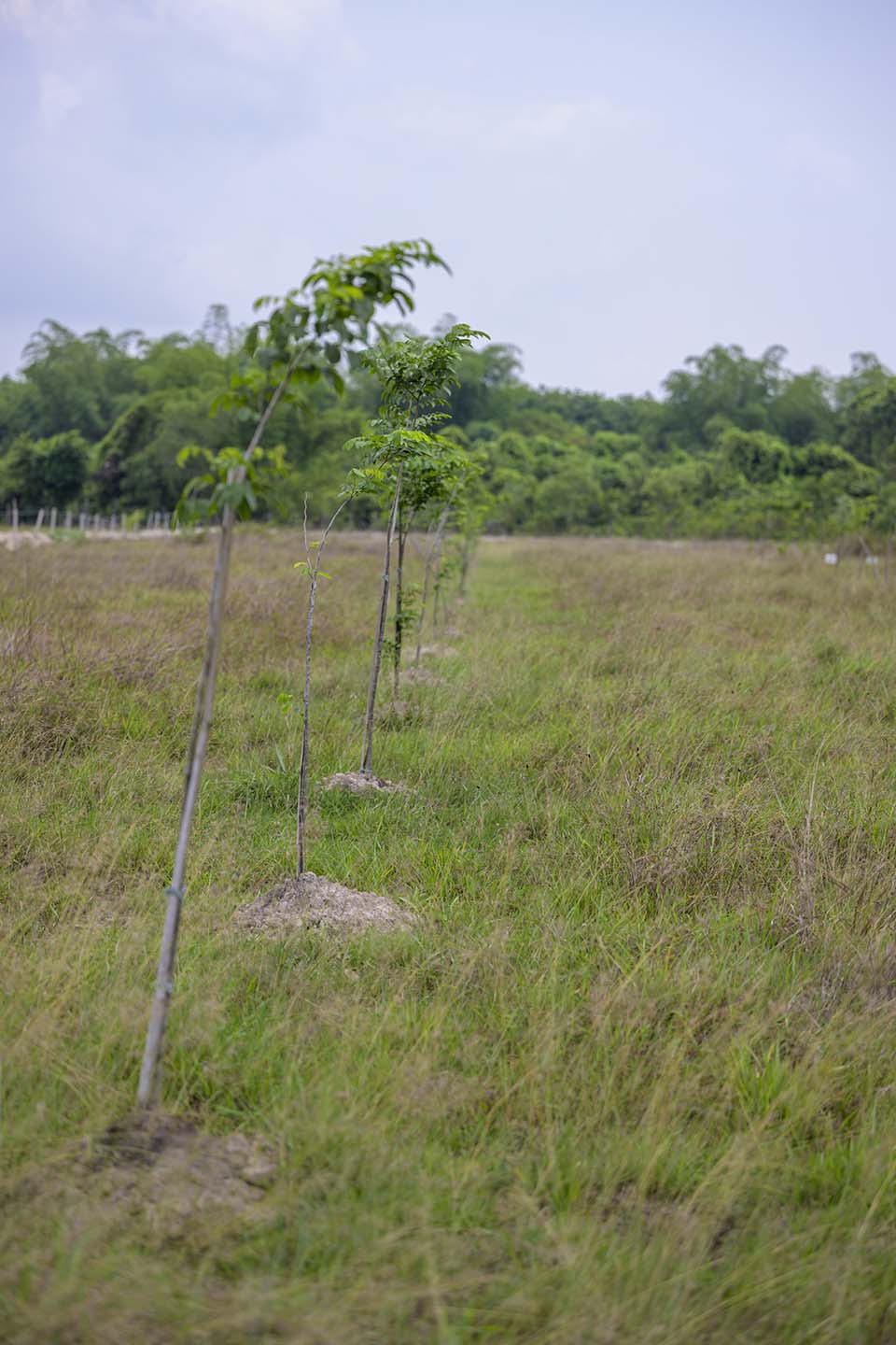 Sustainability_2026_00151.jpg