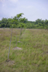Sustainability_2026_00151.jpg