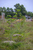 Sustainability_2026_00154.jpg