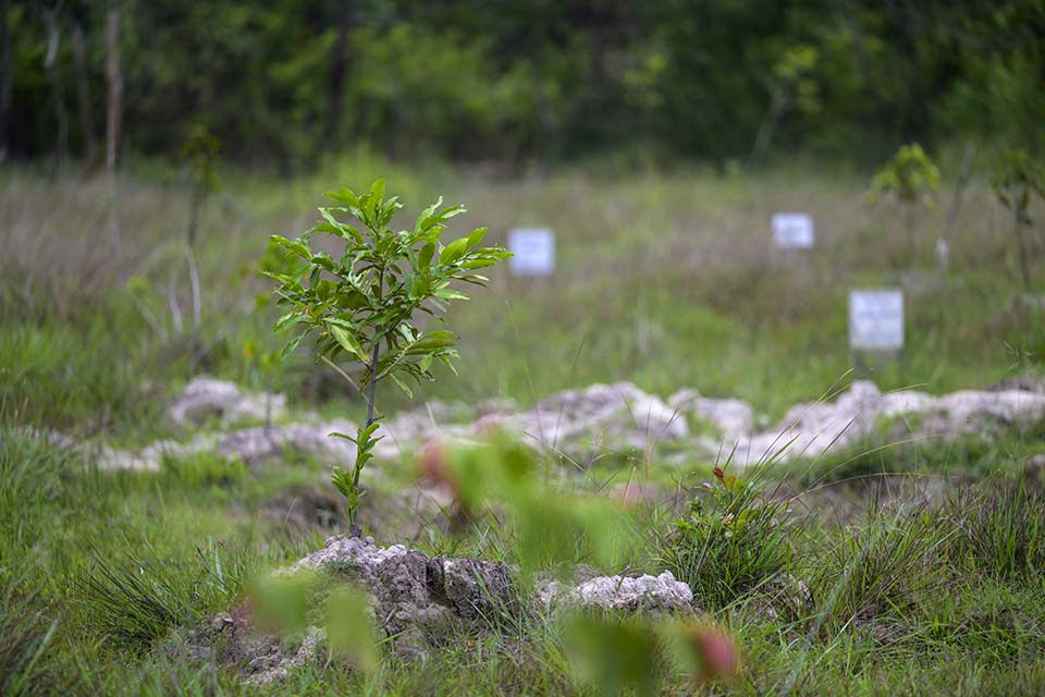 Sustainability_2026_00170.jpg