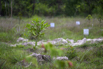 Sustainability_2026_00170.jpg