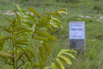 Sustainability_2026_00173.jpg