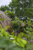 Sustainability_2026_00179.jpg