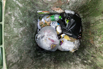 Sustainability_2023_00005.jpg