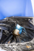 Sustainability_2023_00007.jpg