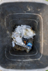 Sustainability_2023_00011.jpg