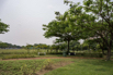 Sustainability_2023_00095.jpg