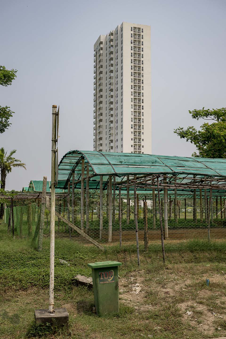 Sustainability_2023_00099.jpg