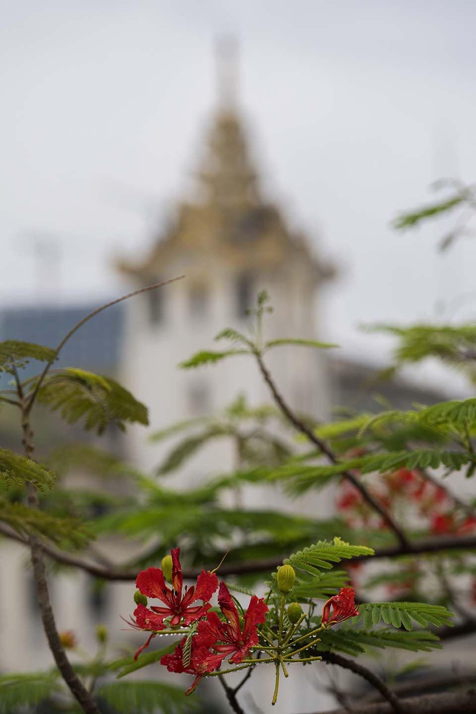 YOMA_2016_00168.jpg