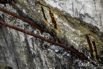 YCP_2023_00620.jpg