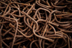 YCP_2023_00624.jpg
