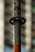 YCP_2023_00629.jpg