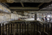 YCP_2023_00059.jpg