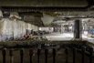 YCP_2023_00061.jpg