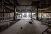 YCP_2023_00165.jpg