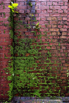YOMA_Land_2020_02367.jpg