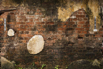 YOMA_Land_2020_02378.jpg