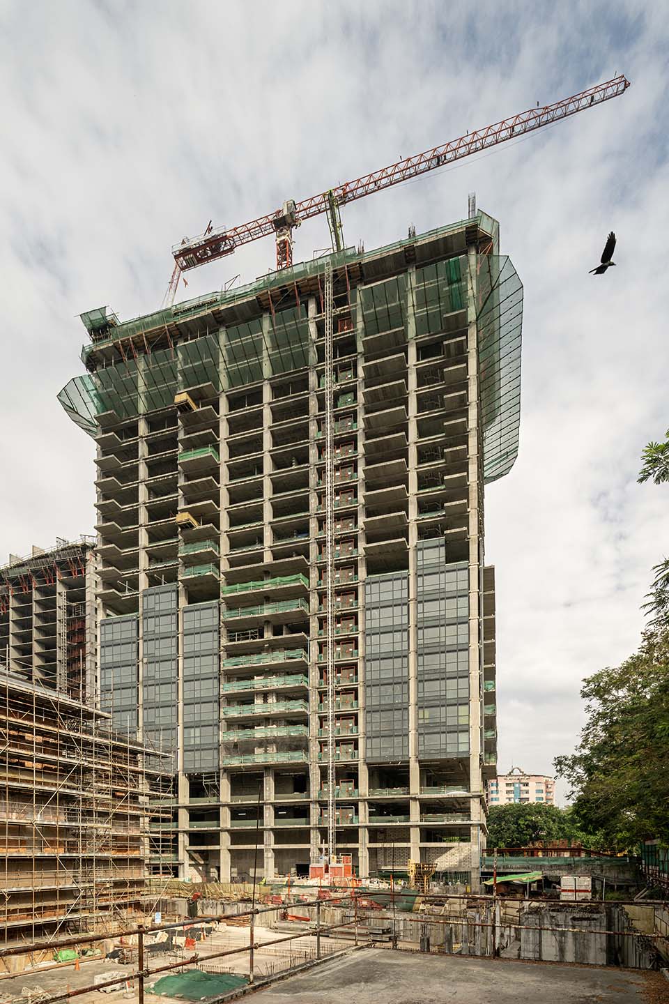 YCP_2023_00201.jpg