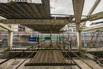 YCP_2023_00410.jpg