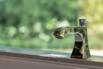 TheResidences_2018_00153.jpg