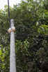 YMP_2023_00412.jpg