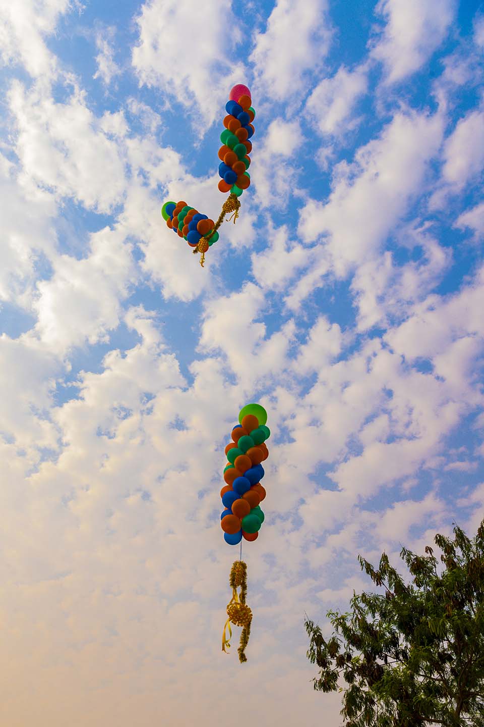 YMP_2020_00549.jpg