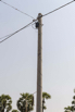YMP_2017_00037.jpg