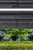 YOMA_Micro_Power_2021_00124.jpg