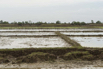 Burma_2015_01427.jpg