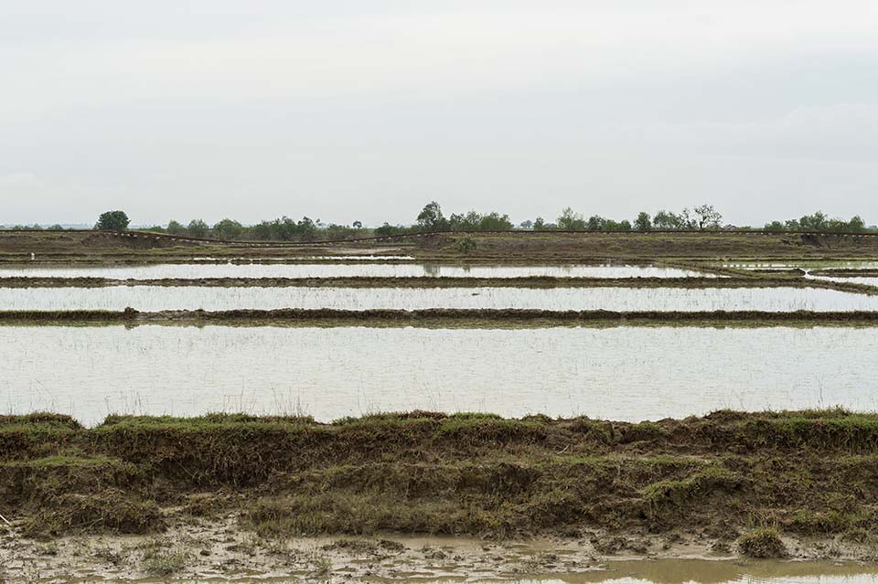 Burma_2015_01430.jpg