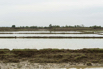 Burma_2015_01430.jpg